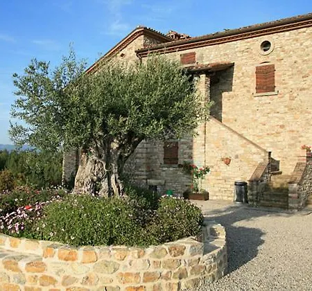 Apartment- Terra * Monte Santa Maria Tiberina